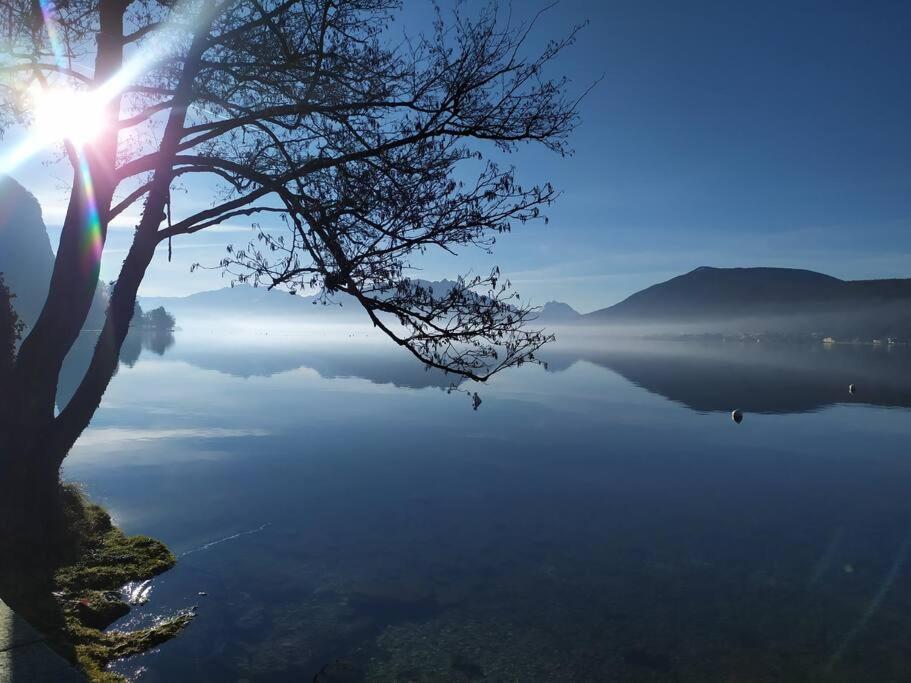 Cabana & Le Central - Proche Lac , Terrasse Et Parking Annecy Exterior photo